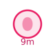 icon Pregnancy Calculator